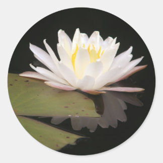 Lillies Classic Round Sticker