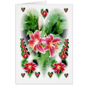 Lillies of the Heart