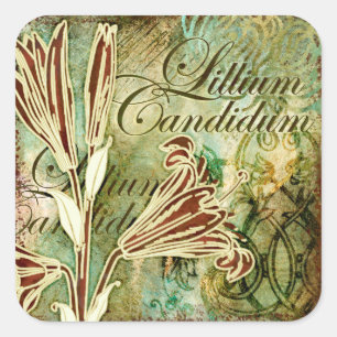 Lillium Candidum Square Sticker