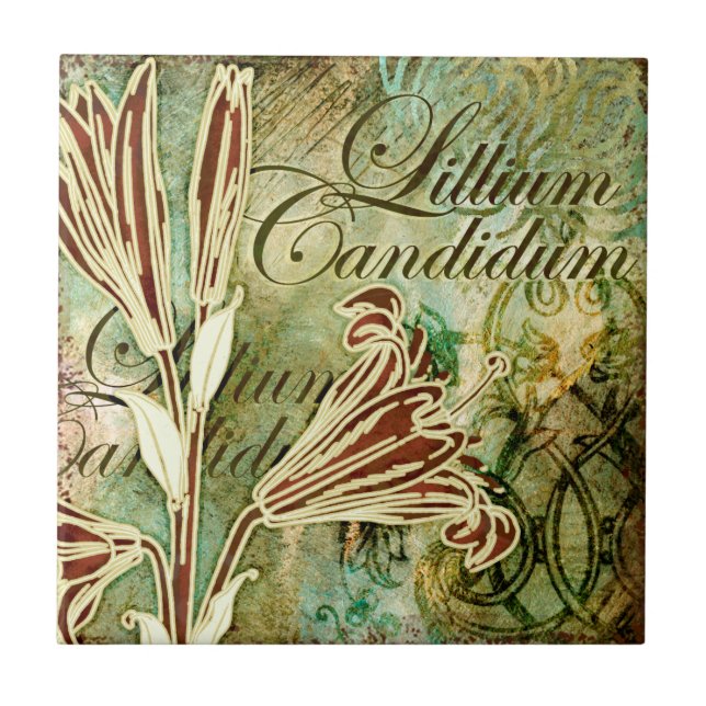 Lillium Candidum Tile (Front)