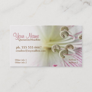 Lillium Flower Macro Business Cards