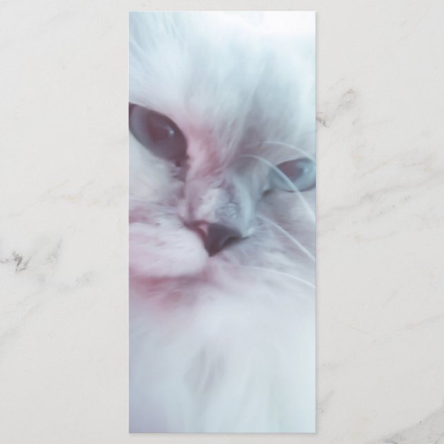 Lilly Bookmark  Menu (Front)