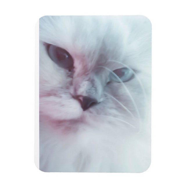 Lilly  magnet (Vertical)