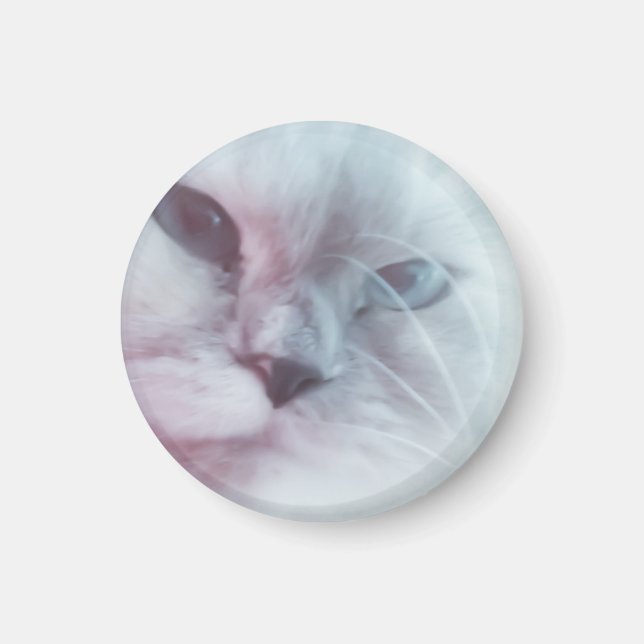 Lilly  magnet (Front)