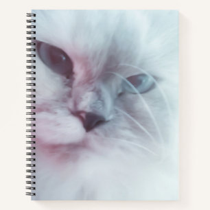 Lilly notebook