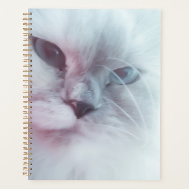 Lilly  planner (Front)
