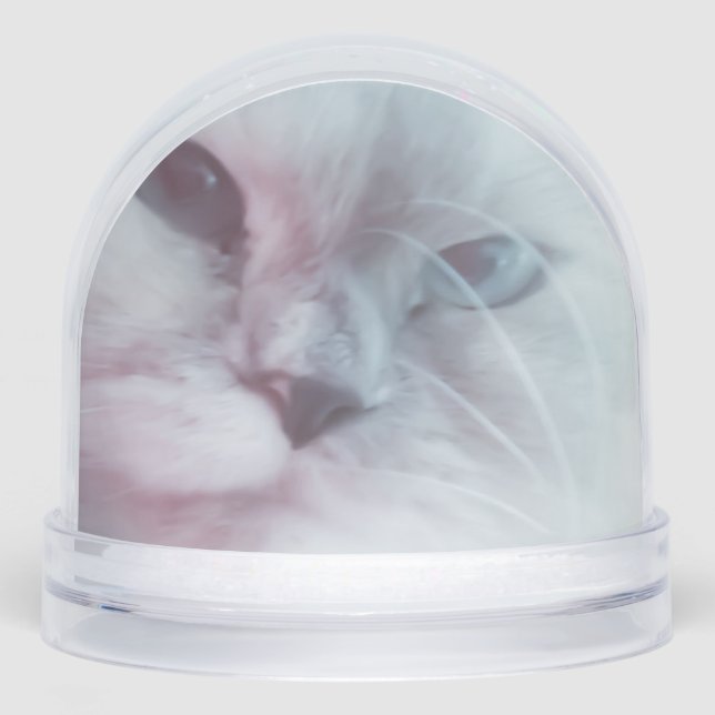 Lilly  snowglobe (Front)