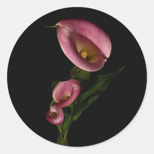 Lilly Sticker