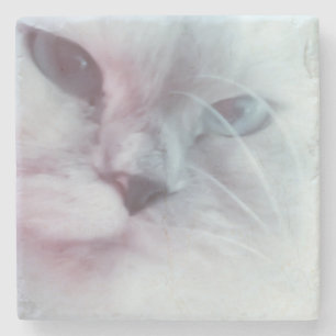 Lilly stone coaster