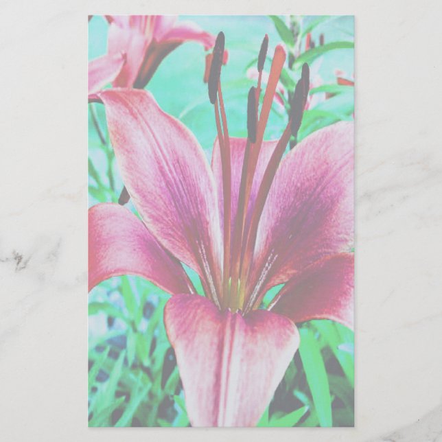 Lily (Front)