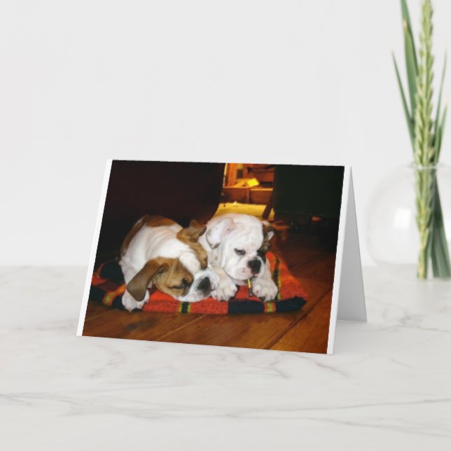 Lily and Ziggy Holiday Pose Card (Front)