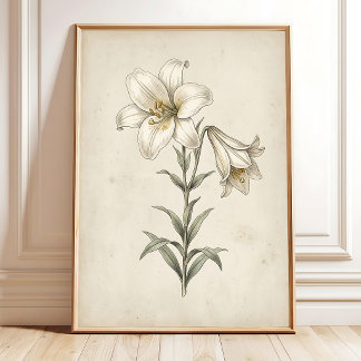 Lily Antique Botanical Wall Art