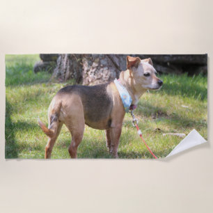 Lily Beach Towel