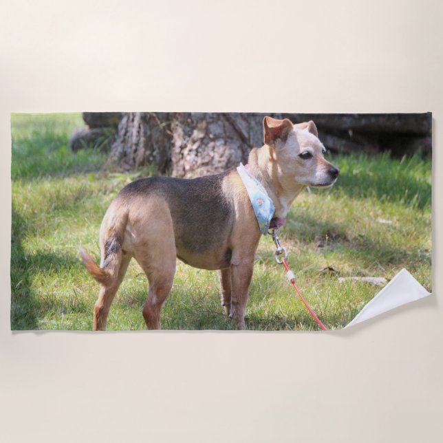 Lily Beach Towel (Front)