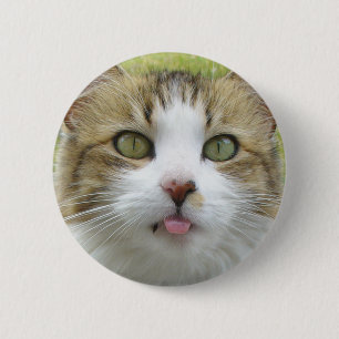 Lily Button 003