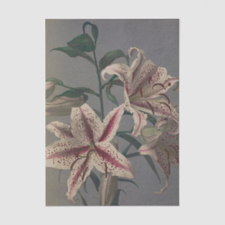 Lily by Ogawa Kazumasa Tissue Paper