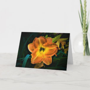 Lily, card