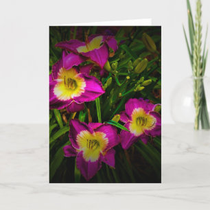 Lily, card