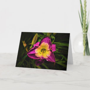 Lily, card