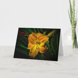 Lily, card