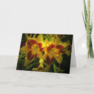 Lily, card