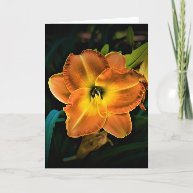Lily, card (Front)