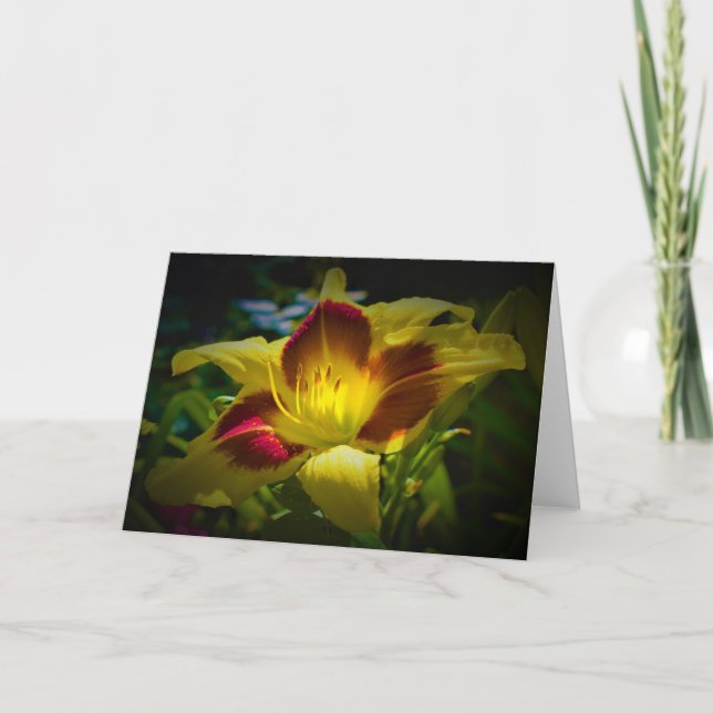 Lily, card (Front)