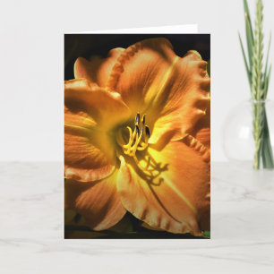 Lily, card