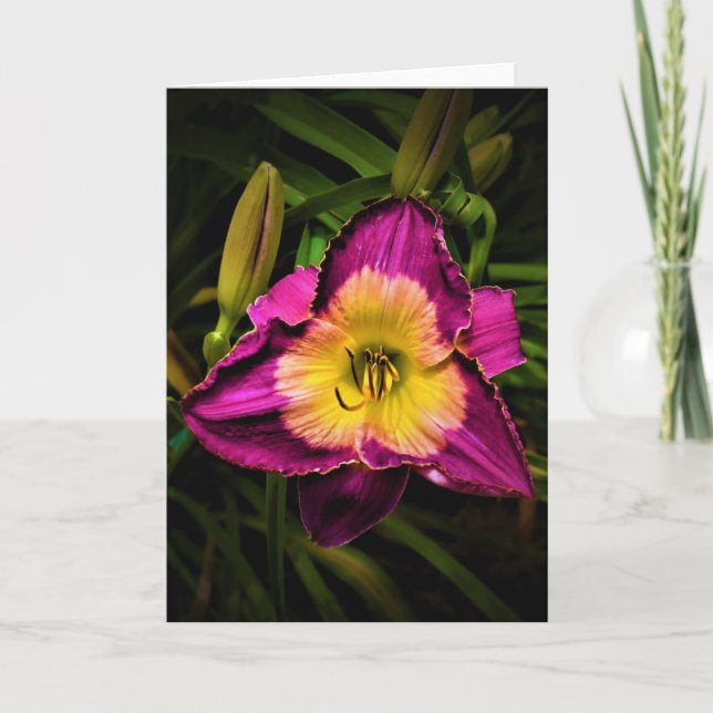Lily, card (Front)