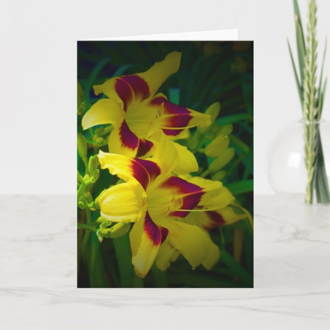 Lily, card (Front)