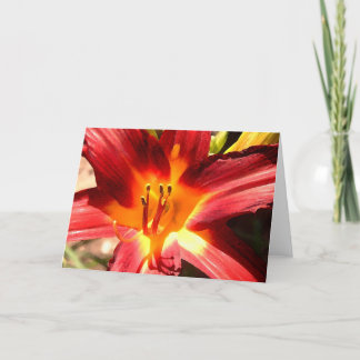 Lily Card