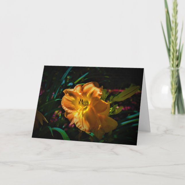 Lily, card (Front)