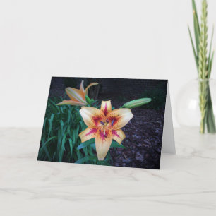 Lily, card