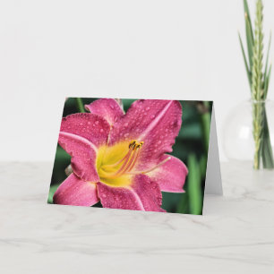 Lily Card