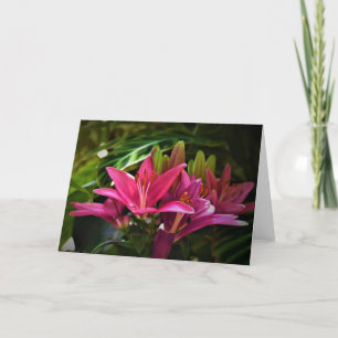 Lily, card