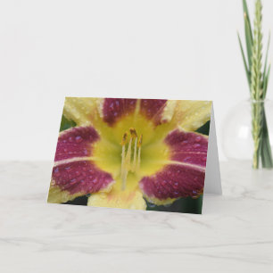 Lily, card