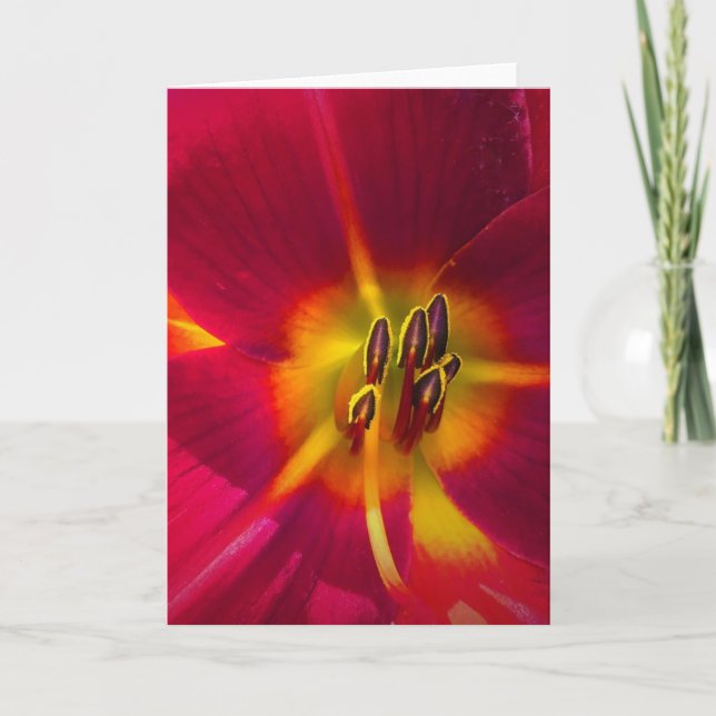 Lily, card (Front)