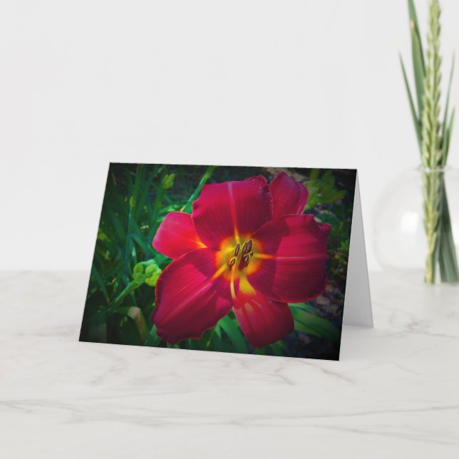 Lily, card (Front)