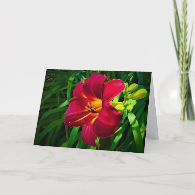 Lily, card (Front)