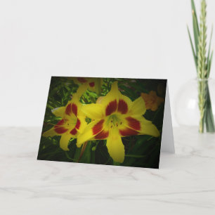 Lily, card