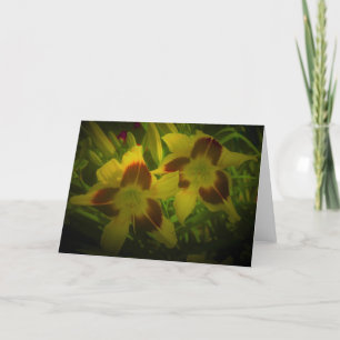 Lily, card