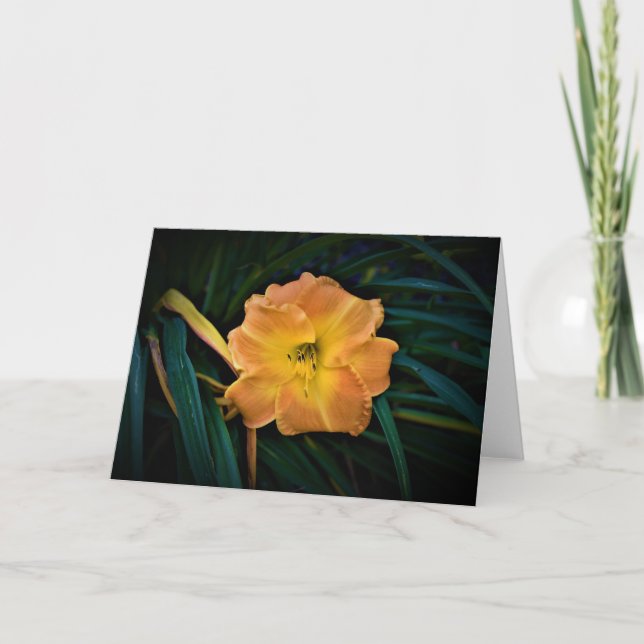 Lily, card (Front)