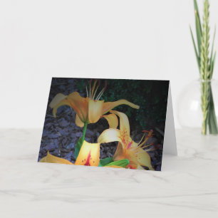 Lily, card