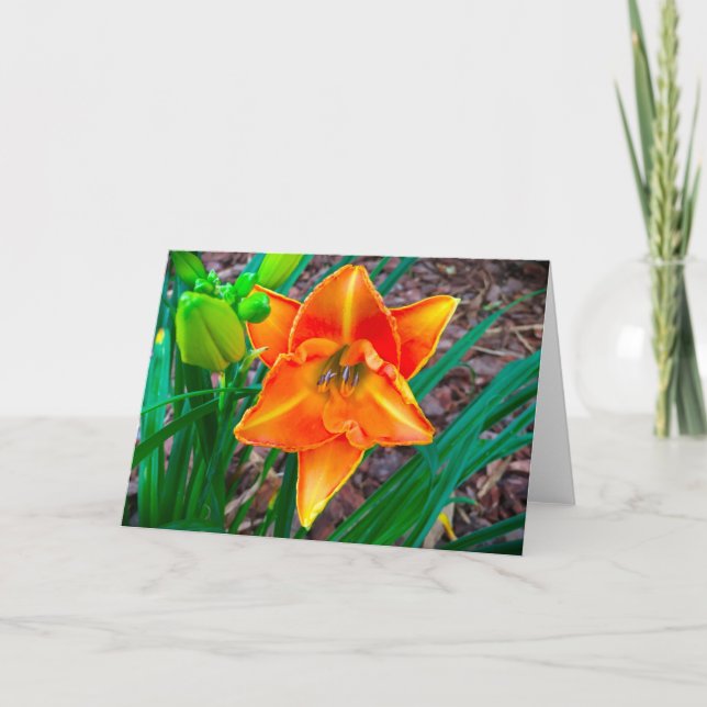 Lily, card (Front)