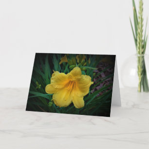 Lily, card