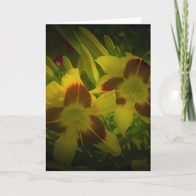 Lily, card (Front)