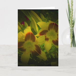Lily, card