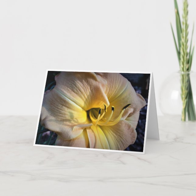 Lily, card (Front)