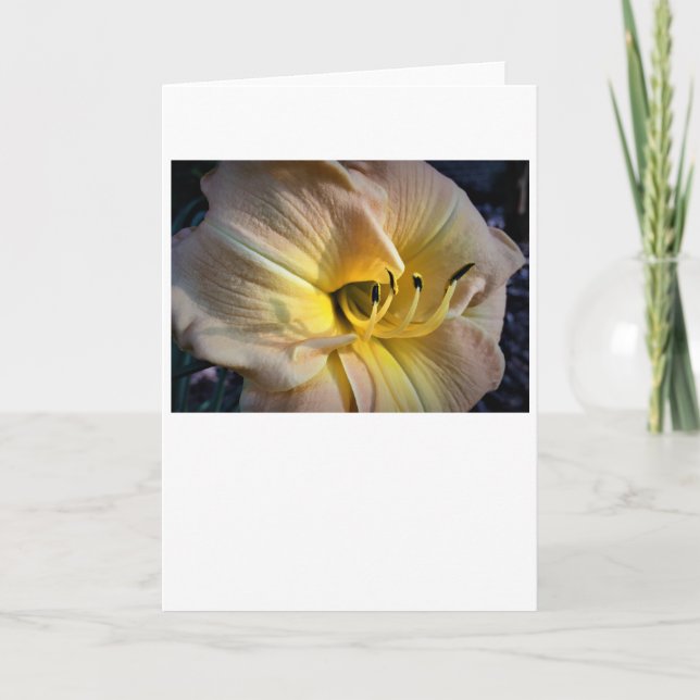 Lily, card (Front)