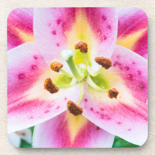 Lily Close-up Coaster